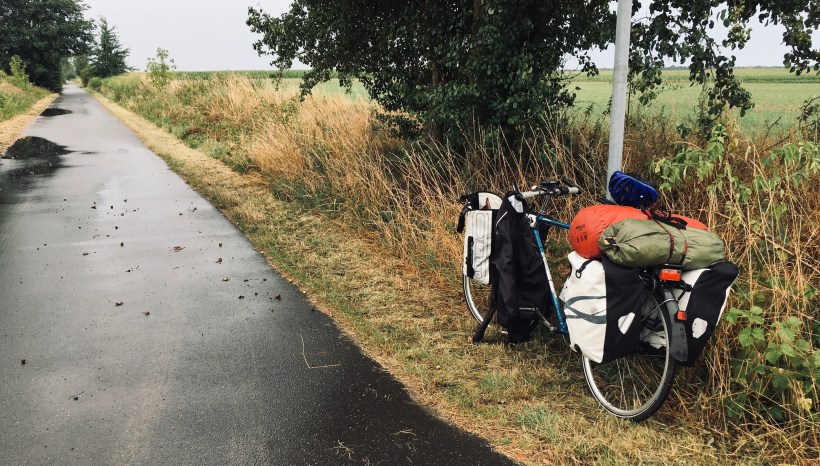 C2048C35-B302-4F2F-A2A5-4D3FF158F5E1_1_201_a