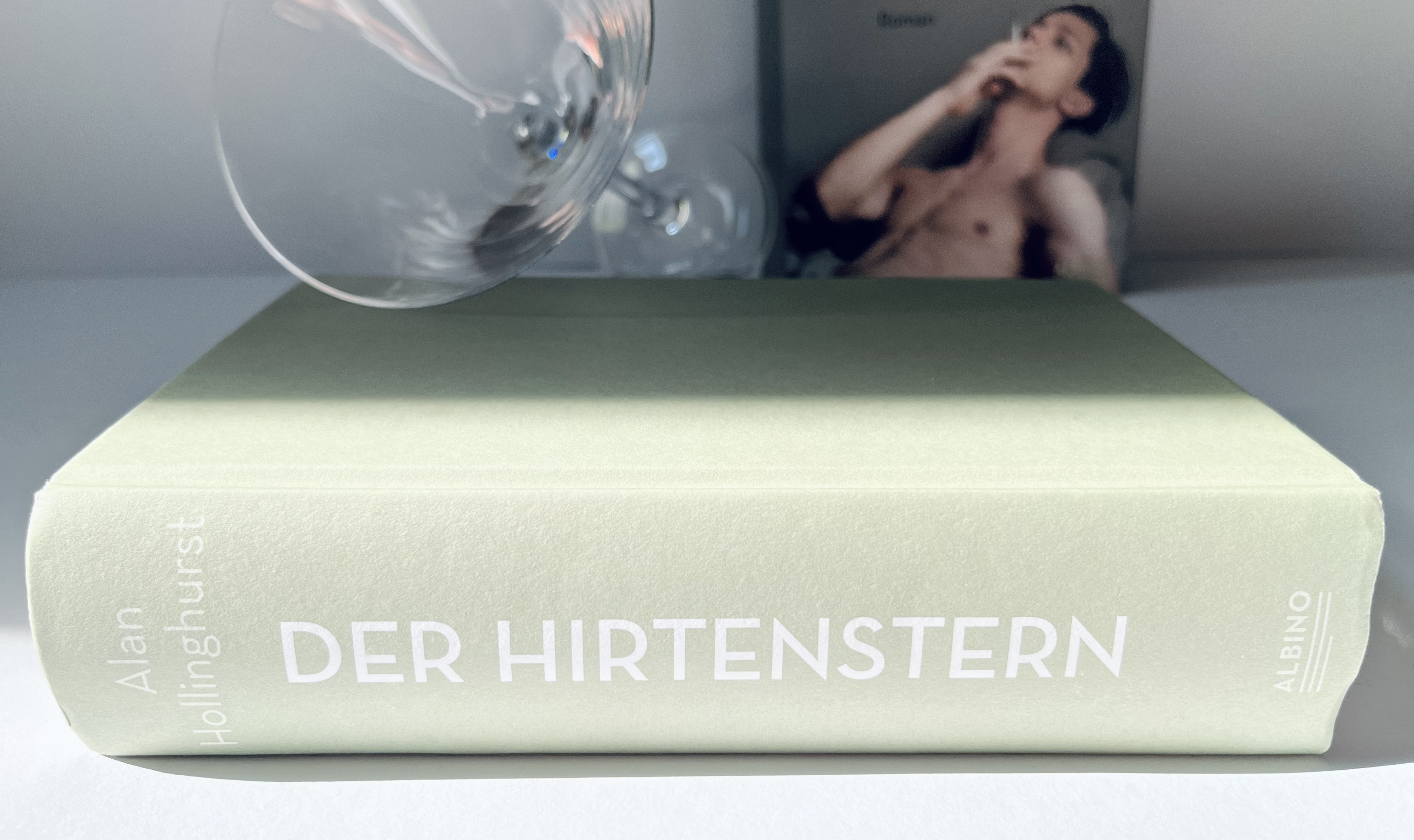 A47096A9-817A-47D9-92E2-5CE6FA7F935F_1_201_a