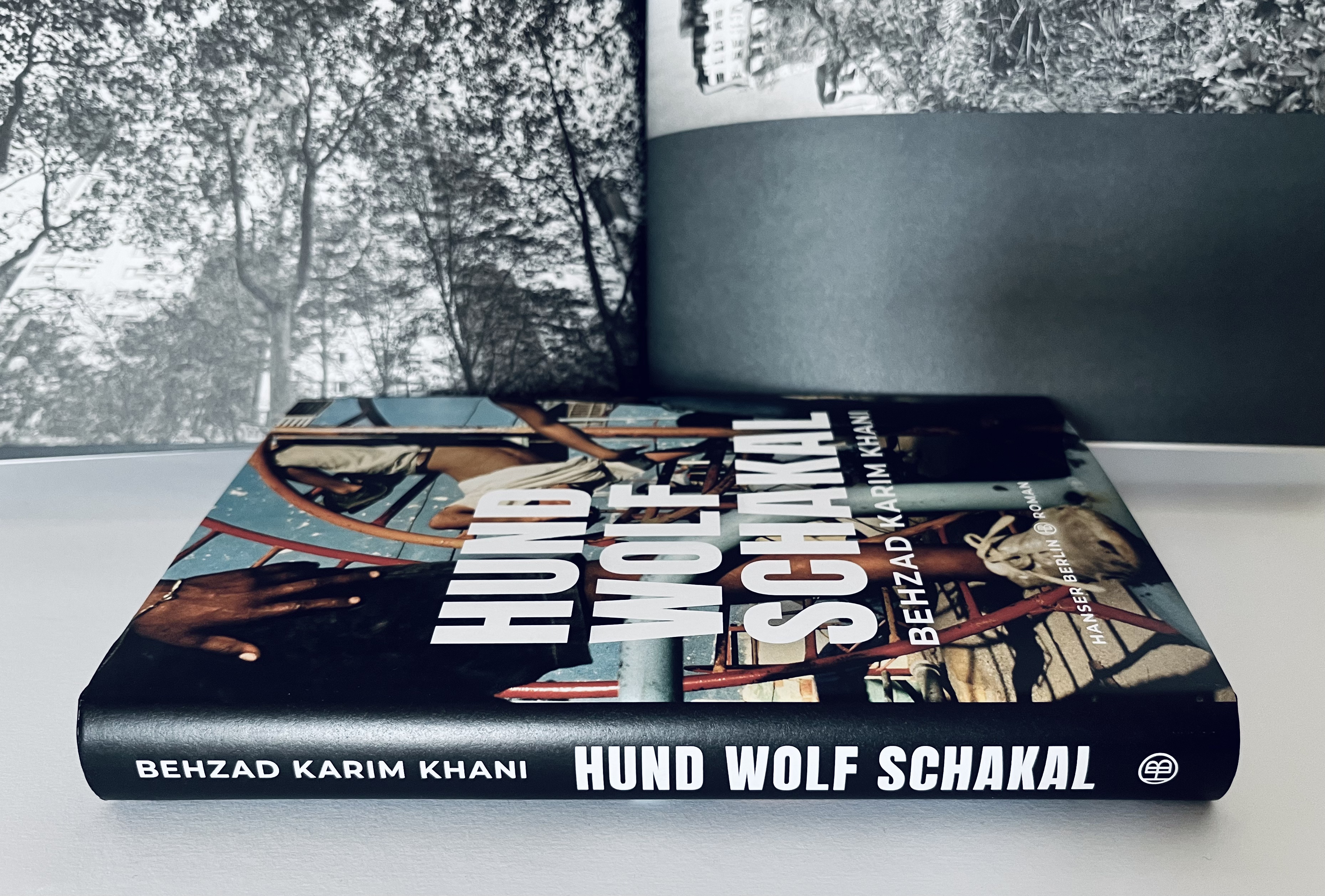 08A66EE3-0ABD-499A-AE4C-CD8FD25C7B92_1_201_a