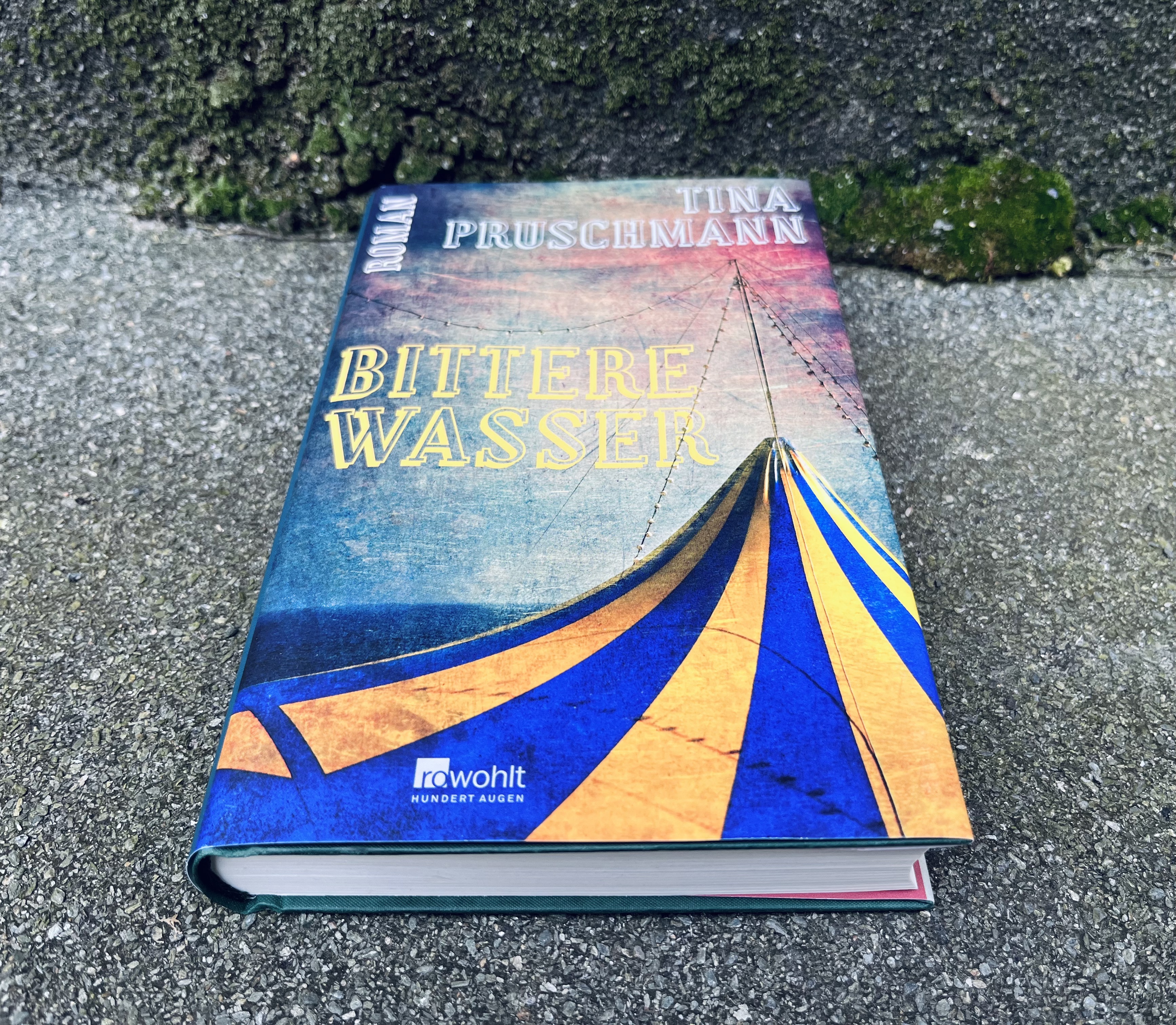 E90EF830-D6D6-41C0-B79A-A04D49F3B93E_1_201_a