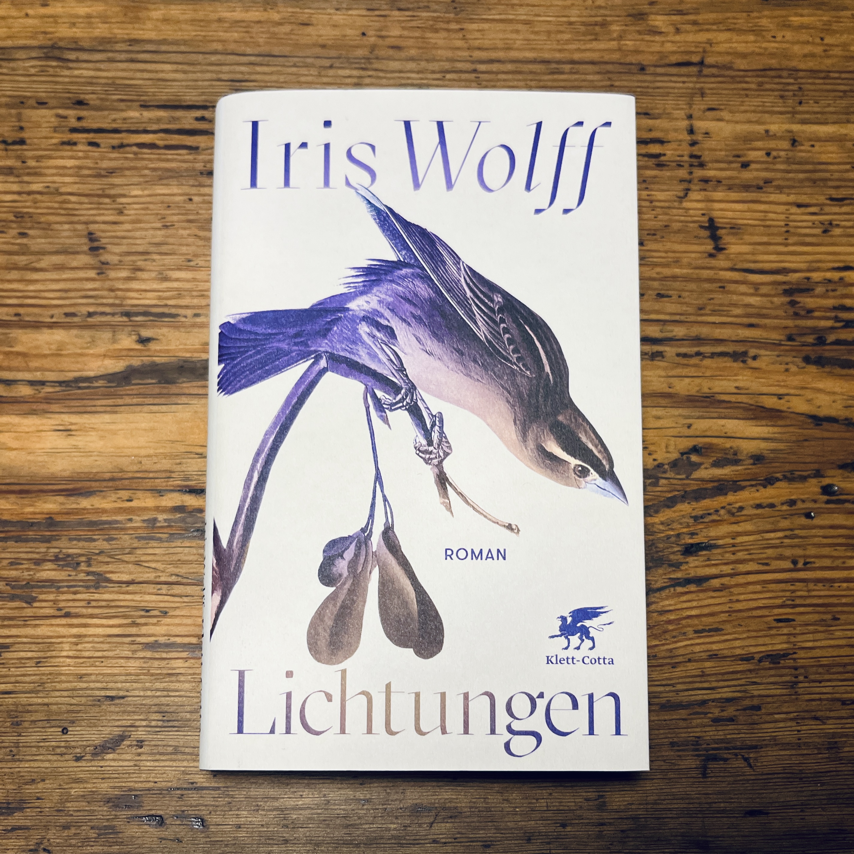 4F19F966-3519-459B-88FE-8AEF21C20F5C_1_201_a